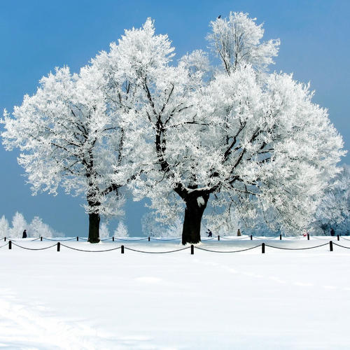 雪景隐喻