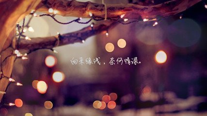 悲伤的报价