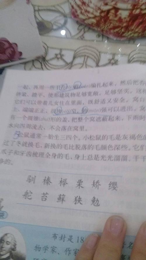 5年级句子