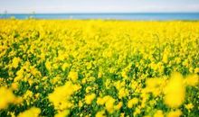 祝福周末愉快的短信