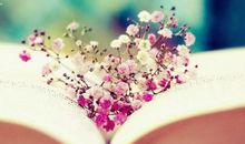 外国爱情诗句大全