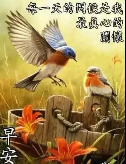 九月问候