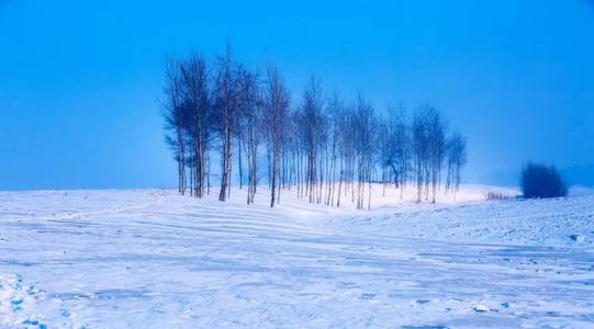 关于大雪的谚语