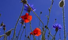 安慰节哀顺变的短句