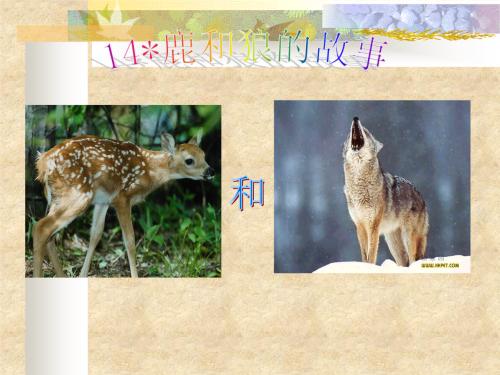 关于狼和鹿的寓言说法