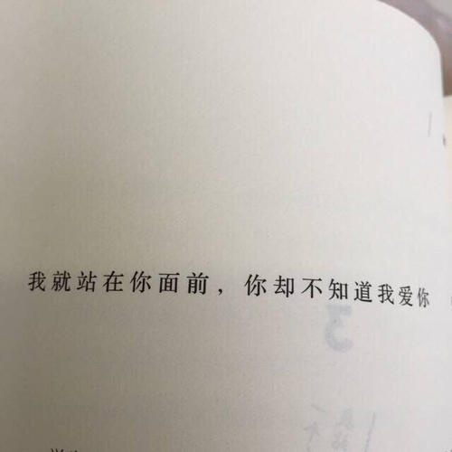 句子描述贝壳