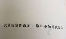 描写贝壳的句子