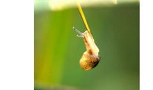 秋天浪漫的诗句大全