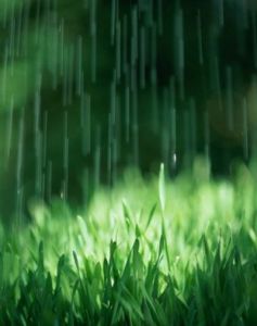 关于预测雨天的谚语