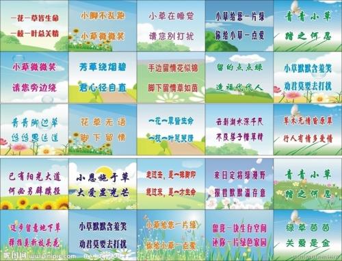 英文口号，保护环境
