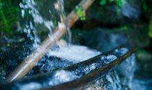 内心惆怅的诗句