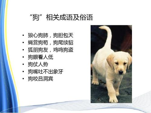 狗和老鼠的寓言词
