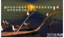 最有正能量的句子