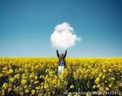 表达感情的诗歌