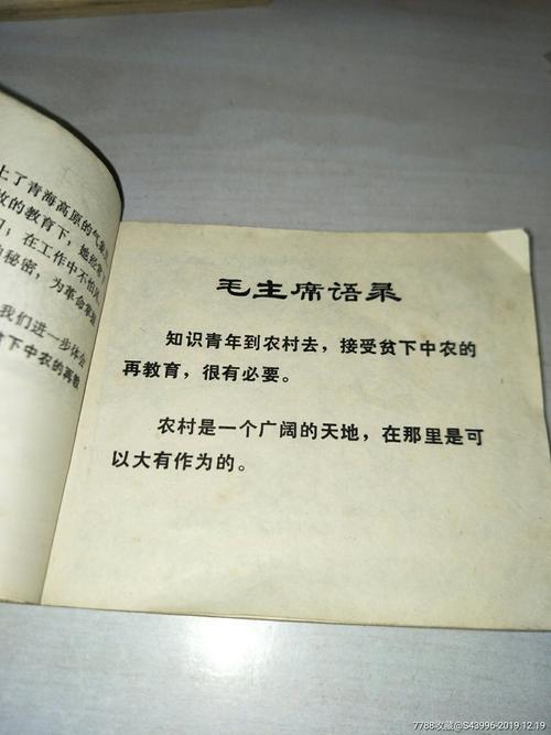 雪莲语录