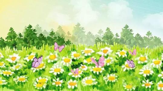 桂花的描述句