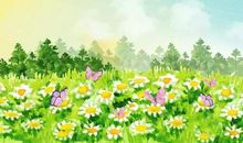 描写桂花比喻句