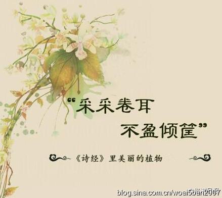 青年八字语录