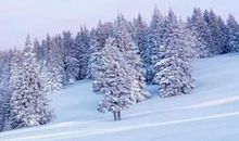 描写冬天下雪的好段