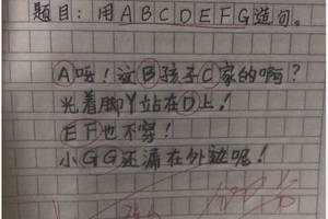 没有或没有句子