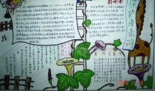 和说话有关的谚语