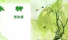 柳树的比喻句