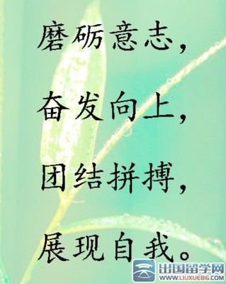 16字军训标语霸气