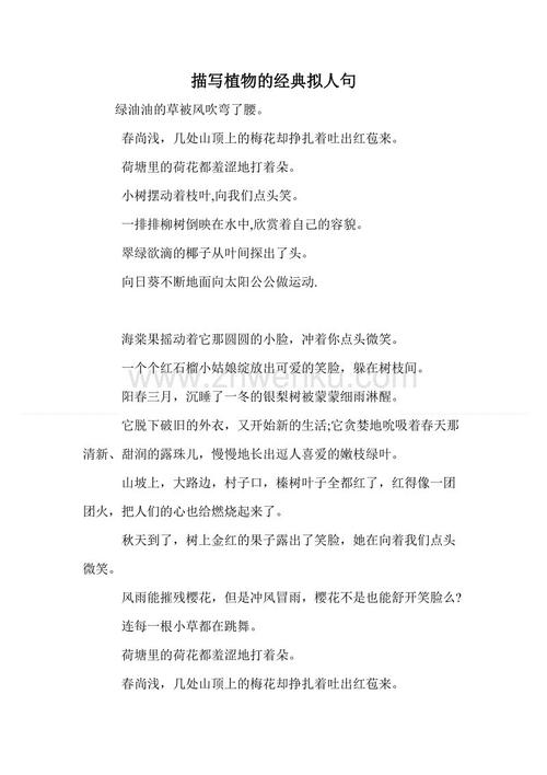 描述性和拟人化的句子