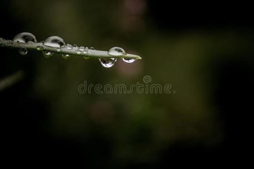 雨滴的隐喻