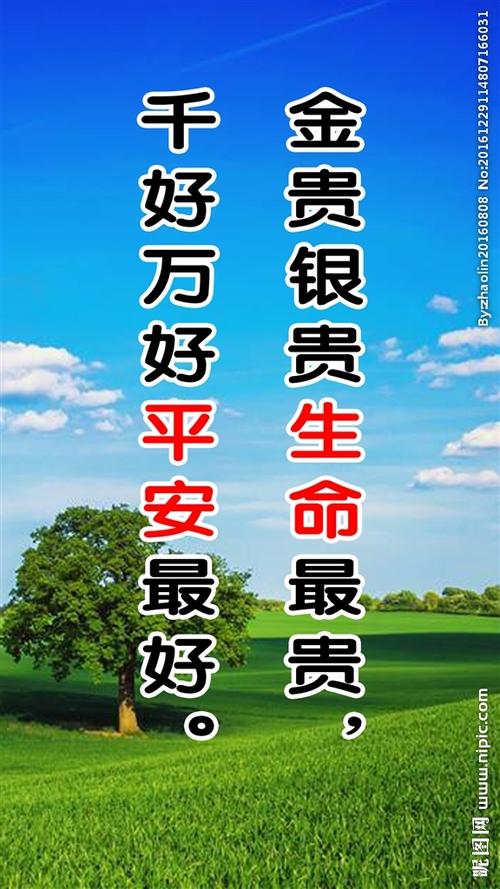 安全驾驶口号