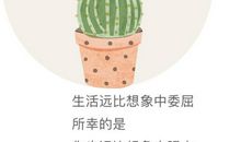 简短文艺正能量的句子