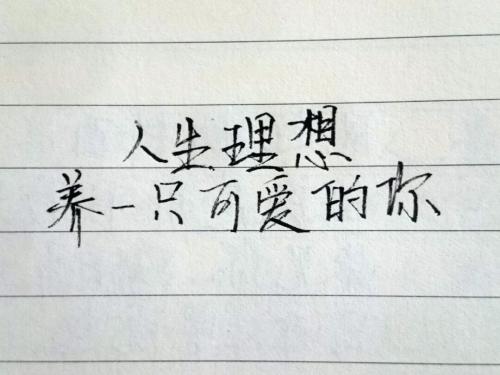 甜蜜的爱语
