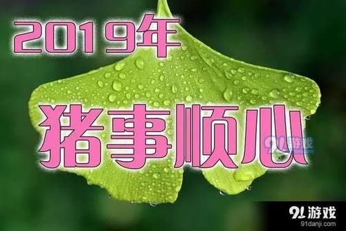 猪年短信祝福2019