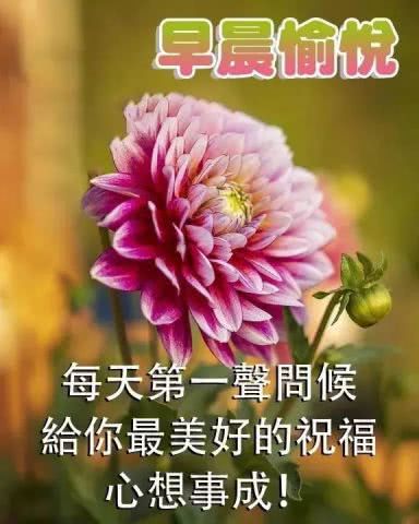 一句热烈的祝福