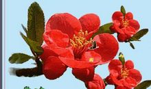 描写周末快乐的句子