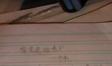 描写梅花鹿的句子