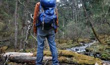 人生所有的泥泞,要靠自己去趟