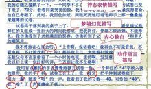 描写早上的优美段落