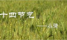 谚语小满