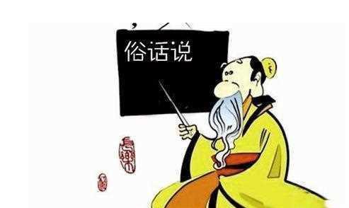 关于狗的谚语