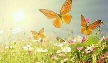 早读励志的句子