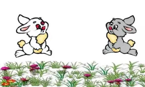 描述兔子的寓言