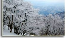 冬天的雪心情的句子