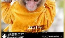 猴子翻筋头歇后语