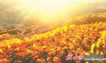 塌锅干饭歇后语