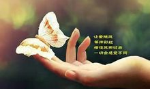 早上的心情说说正能量