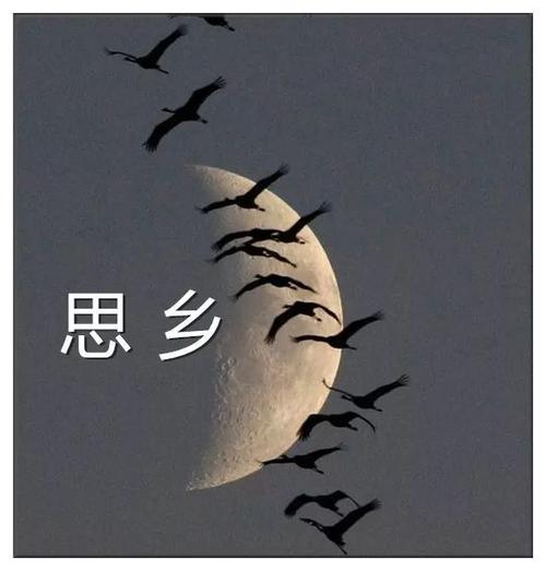 关于内心悲伤的诗