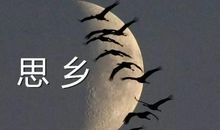 关于内心愁苦的诗句