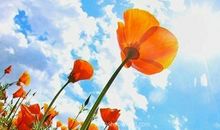 早晨元气满满的说说