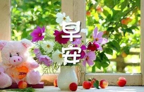 每天祝福